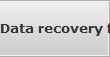 Data recovery for Brentwood data